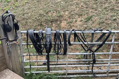 Lot 784 - Set of black Zilco harness, including bridle