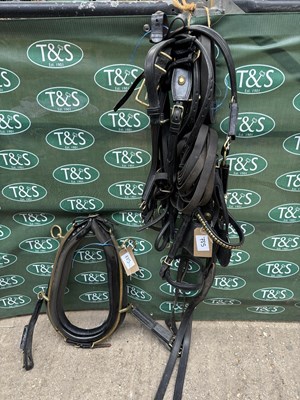 Lot 785 - Set of black leather harness
