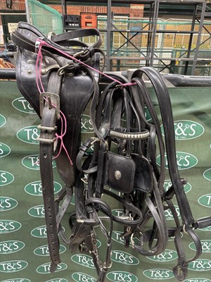 Lot 786 - Set of black leather harness