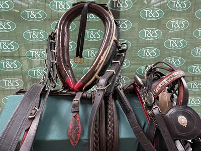 Lot 788 - Full set of light trade harness, red piped, with plaited reins
