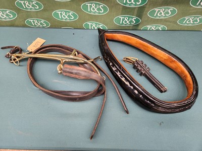 Lot 809 - 22" black patent collar