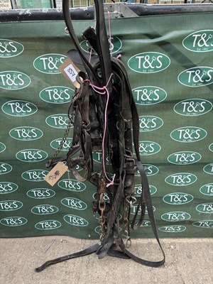 Lot 857 - Black leather bridle with brass fittings