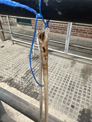 Lot 807 - Dealers whip