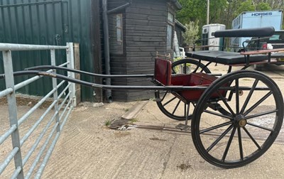 Lot 28 - BENNINGTON INTRO, to suit 12–13 hh