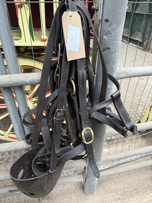 Lot 309 - Five leather headcollars, one cob and four full size together with a grazing muzzle