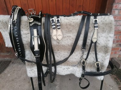 Lot 789 - Full set of cob size Walsall trade harness