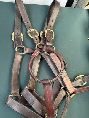 Lot 797 - Two brown leather headcollars with brass fittings, shire size