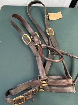 Lot 798 - Two brown leather headcollars with brass fittings, shire size